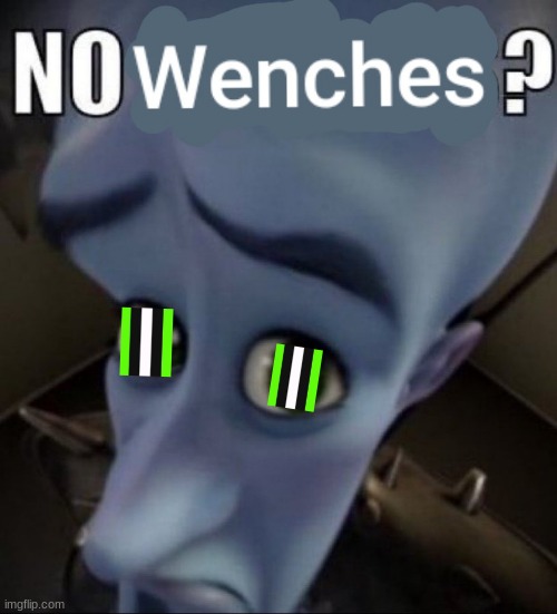 no wenches | image tagged in no bitches | made w/ Imgflip meme maker
