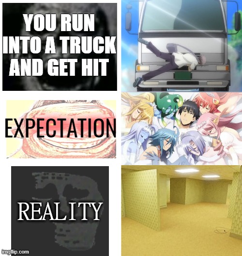 i have exp ngl |  YOU RUN INTO A TRUCK AND GET HIT; EXPECTATION; REALITY | image tagged in blank white template,unfunny,memes | made w/ Imgflip meme maker