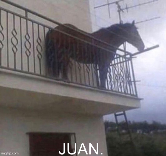 Juan. (Read Description) | Ligma Nut; JUAN. | image tagged in juan | made w/ Imgflip meme maker