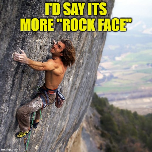 Mountain climber | I'D SAY ITS MORE "ROCK FACE" | image tagged in mountain climber | made w/ Imgflip meme maker