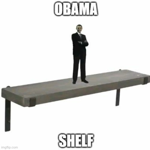 Obama Shelf | image tagged in obama,fun | made w/ Imgflip meme maker