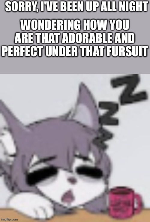 Zzzzzz......w-what? | SORRY, I'VE BEEN UP ALL NIGHT; WONDERING HOW YOU ARE THAT ADORABLE AND PERFECT UNDER THAT FURSUIT | image tagged in wholesome,furry | made w/ Imgflip meme maker