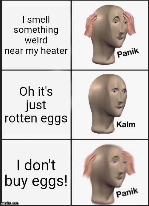 Get out of there!!! | I smell something weird near my heater; Oh it's just rotten eggs; I don't buy eggs! | image tagged in memes,panik kalm panik | made w/ Imgflip meme maker