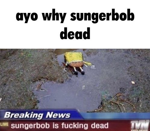 News shitpost Blank Meme Template
