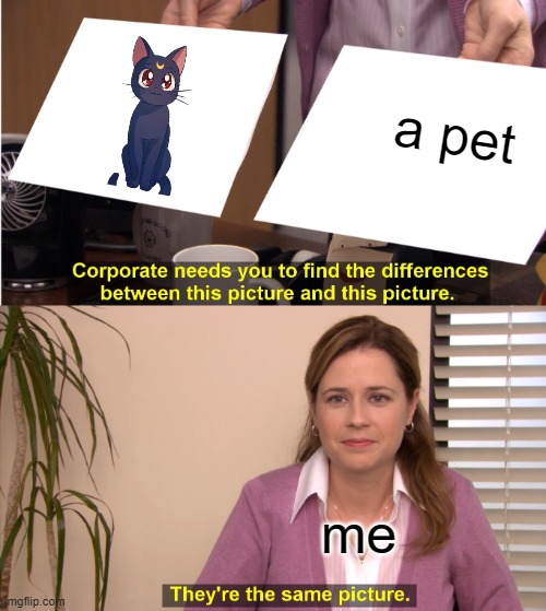 They're The Same Picture |  a pet; me | image tagged in memes,they're the same picture | made w/ Imgflip meme maker