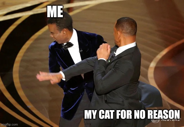 Will Smith punching Chris Rock |  ME; MY CAT FOR NO REASON | image tagged in will smith punching chris rock | made w/ Imgflip meme maker