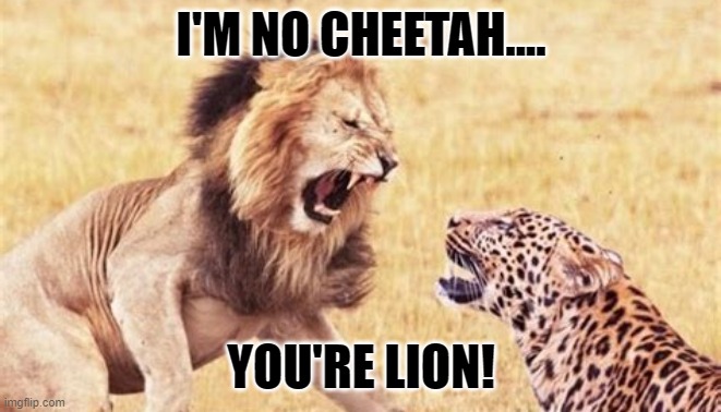 Daily Bad Dad Joke 03/28/2022 | I'M NO CHEETAH.... YOU'RE LION! | image tagged in lion vs cheetah | made w/ Imgflip meme maker