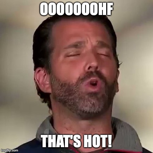 Donald Trump Jr., Don Jr., Cocaine | OOOOOOOHF THAT'S HOT! | image tagged in donald trump jr don jr cocaine | made w/ Imgflip meme maker