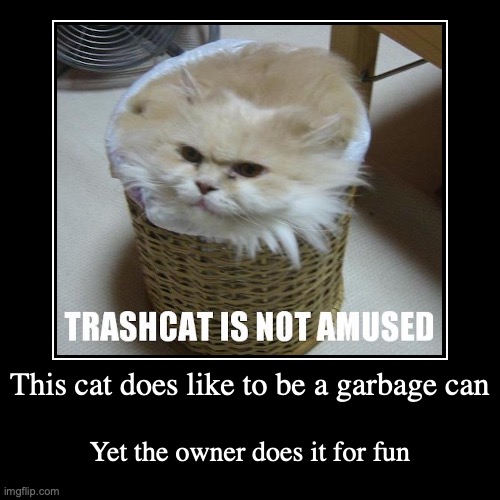 Trashcat | image tagged in funny,demotivationals,memes,cats | made w/ Imgflip demotivational maker