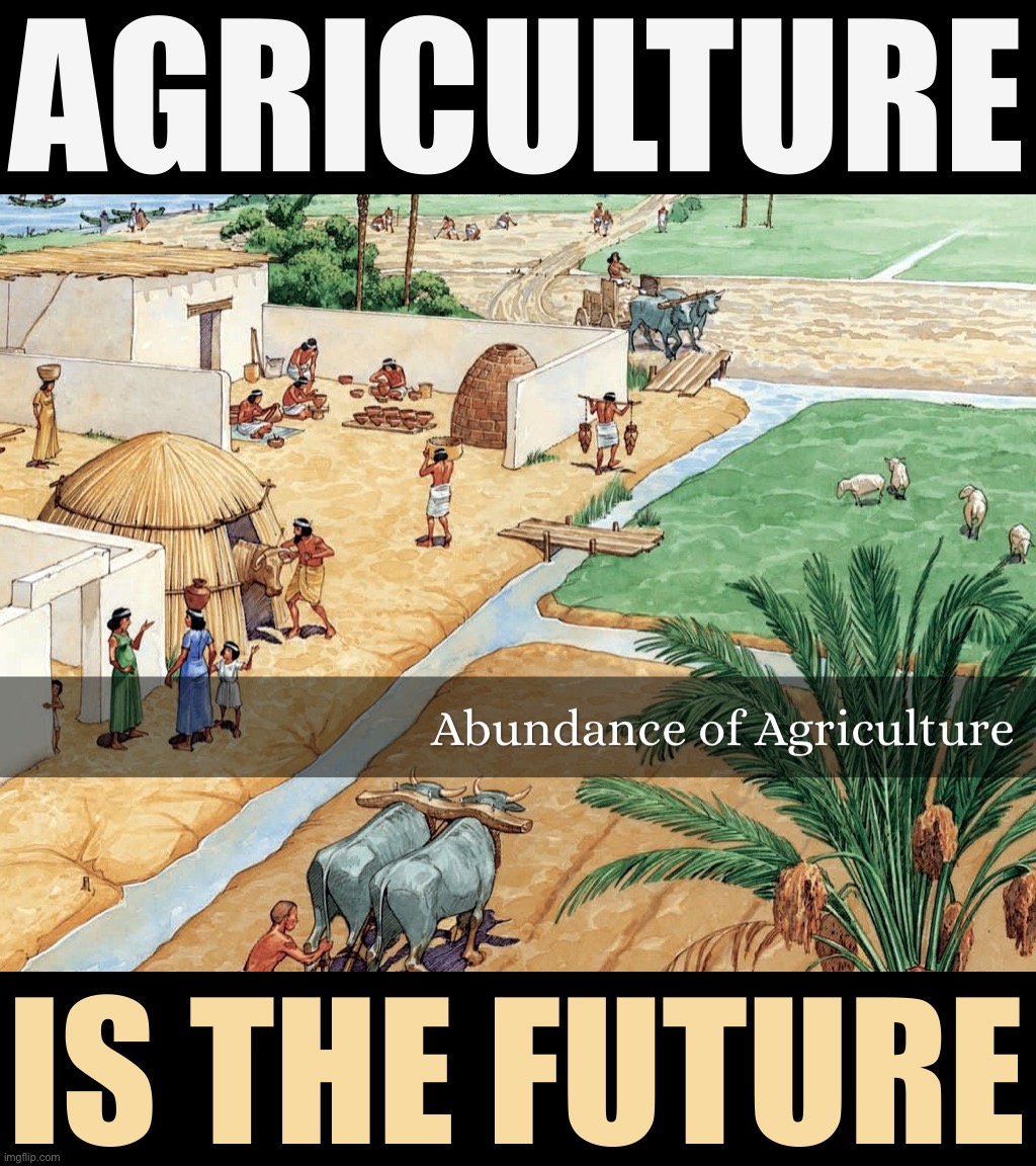 If we plow together, we can store enough produce for the winter and increase leisure time to invest in scribes & the priesthood. | AGRICULTURE; IS THE FUTURE | image tagged in abundance of agriculture,agriculture,is,the,future,vote sumer party | made w/ Imgflip meme maker
