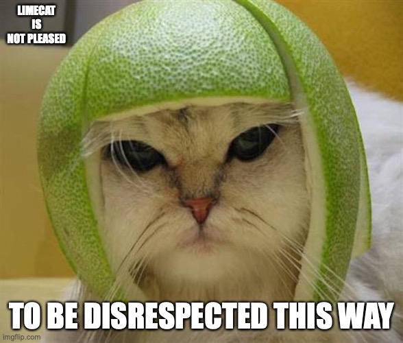 Original Limecat Image | LIMECAT IS NOT PLEASED; TO BE DISRESPECTED THIS WAY | image tagged in cats,memes | made w/ Imgflip meme maker