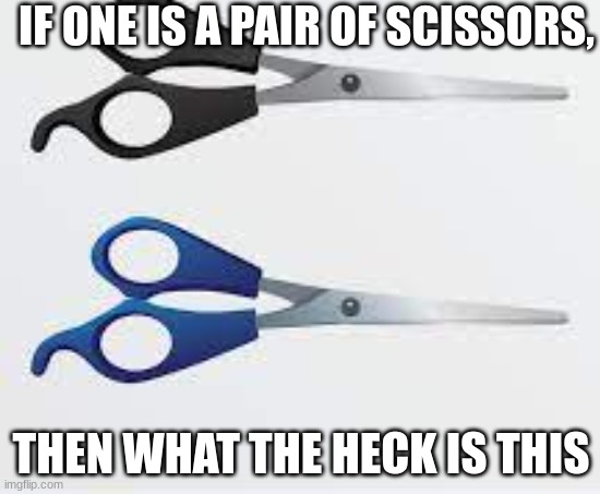 Two Scissors | IF ONE IS A PAIR OF SCISSORS, THEN WHAT THE HECK IS THIS | image tagged in two scissors | made w/ Imgflip meme maker