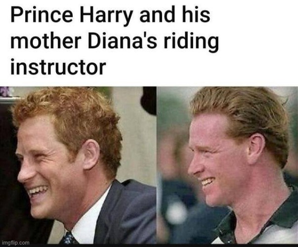 Prince Harry ? | image tagged in planned parenthood | made w/ Imgflip meme maker