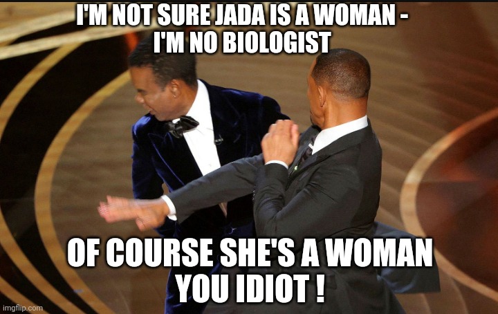 Jada Pinkett Smith the Woman | I'M NOT SURE JADA IS A WOMAN -
I'M NO BIOLOGIST; OF COURSE SHE'S A WOMAN
YOU IDIOT ! | image tagged in will smith,chris rock,liberals,democrats,jackson brown,scotus | made w/ Imgflip meme maker
