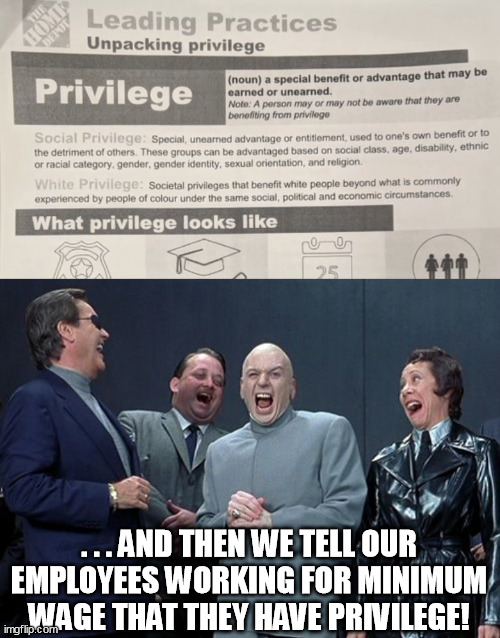 More idiocy. More hypocrisy. | . . . AND THEN WE TELL OUR EMPLOYEES WORKING FOR MINIMUM WAGE THAT THEY HAVE PRIVILEGE! | image tagged in memes,laughing villains,home depot,privilege,white privilege | made w/ Imgflip meme maker