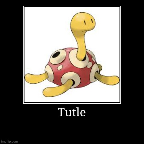 Tutle | image tagged in funny,demotivationals | made w/ Imgflip demotivational maker