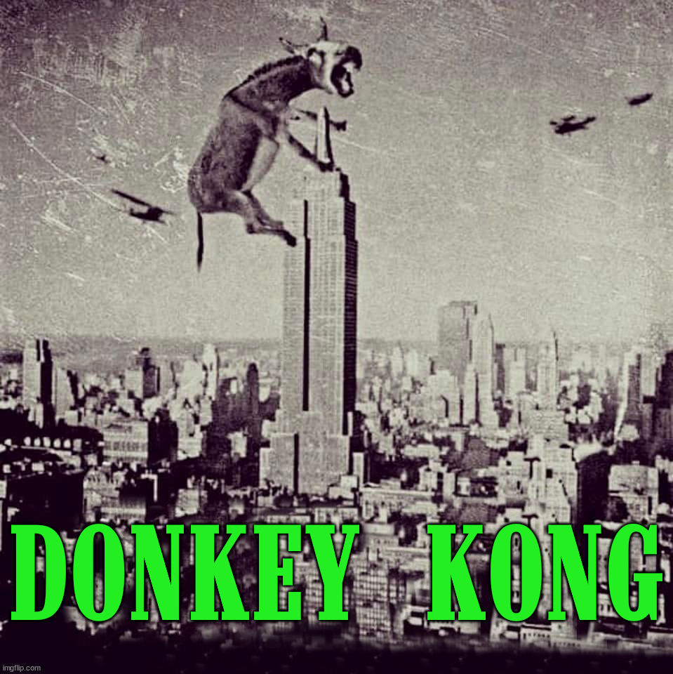 The real Donkey Kong | DONKEY KONG | image tagged in gaming,donkey kong | made w/ Imgflip meme maker