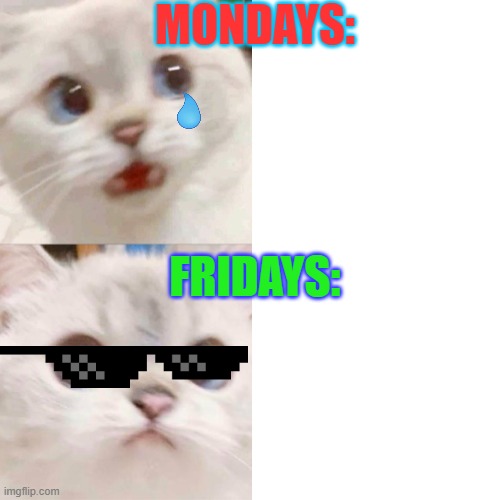 PANIK - CALM cat | MONDAYS:; FRIDAYS: | image tagged in panik - calm cat | made w/ Imgflip meme maker