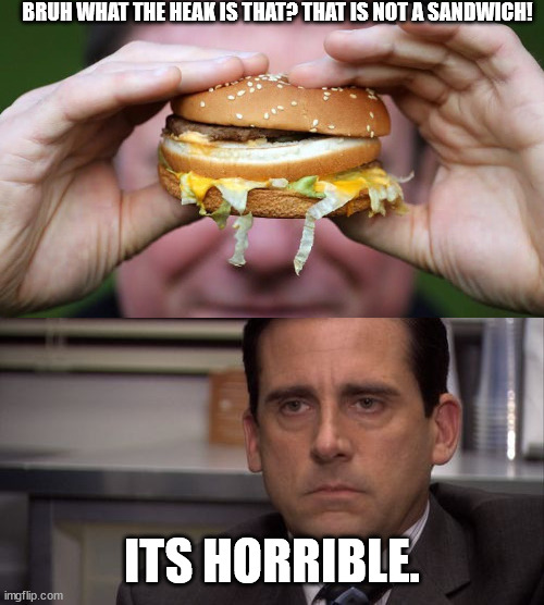BRUH WHAT THE HEAK IS THAT? THAT IS NOT A SANDWICH! ITS HORRIBLE. | image tagged in are you kidding me | made w/ Imgflip meme maker