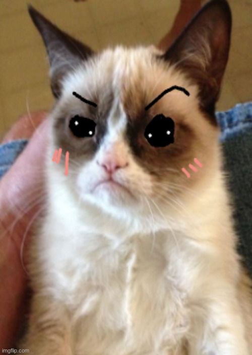 sus cat. | image tagged in sus,grumpy cat,cat,funny,random | made w/ Imgflip meme maker