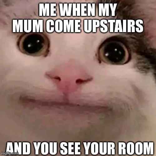 Cat me | ME WHEN MY MUM COME UPSTAIRS; AND YOU SEE YOUR ROOM | image tagged in beluga | made w/ Imgflip meme maker