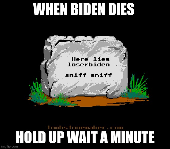 idiot presedent | WHEN BIDEN DIES; HOLD UP WAIT A MINUTE | image tagged in loserbiden | made w/ Imgflip meme maker