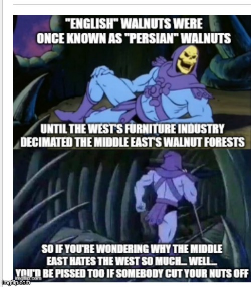 skeletor facts | image tagged in skeletor explains what walnuts | made w/ Imgflip meme maker