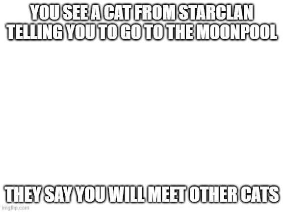 Crimson Stars | YOU SEE A CAT FROM STARCLAN TELLING YOU TO GO TO THE MOONPOOL; THEY SAY YOU WILL MEET OTHER CATS | image tagged in blank white template | made w/ Imgflip meme maker