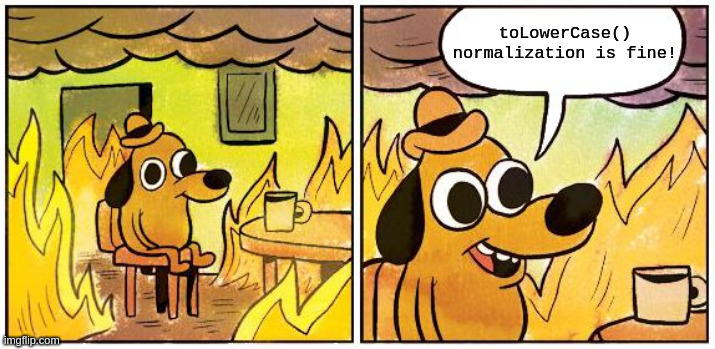 This is Fine (Blank) | toLowerCase() normalization is fine! | image tagged in this is fine blank | made w/ Imgflip meme maker