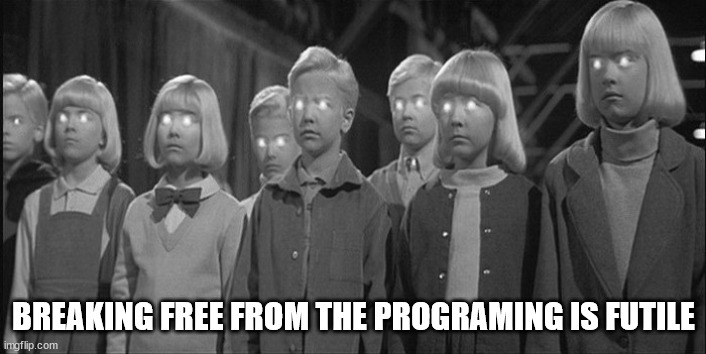 brainwashed | BREAKING FREE FROM THE PROGRAMING IS FUTILE | image tagged in brainwashed | made w/ Imgflip meme maker