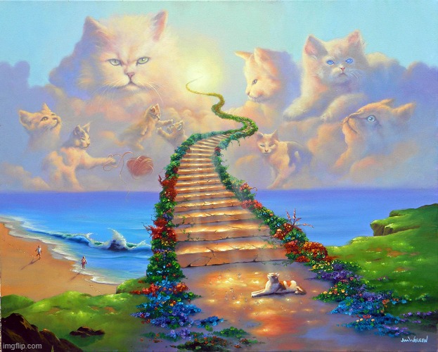 image tagged in awesome | made w/ Imgflip meme maker