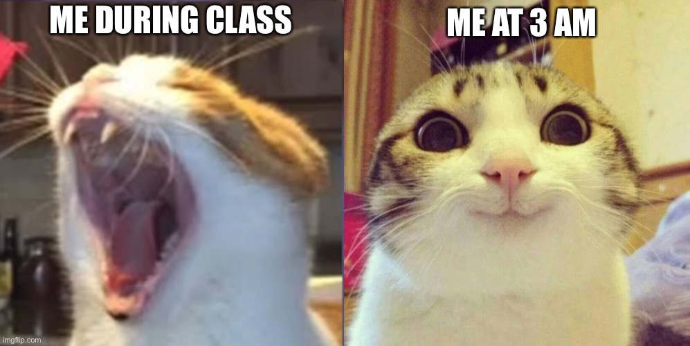 ME AT 3 AM; ME DURING CLASS | image tagged in yawning cat,memes,smiling cat | made w/ Imgflip meme maker