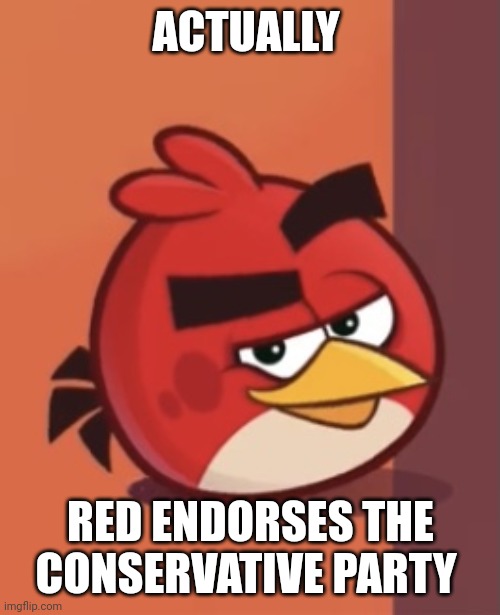Smug Red | ACTUALLY RED ENDORSES THE CONSERVATIVE PARTY | image tagged in smug red | made w/ Imgflip meme maker