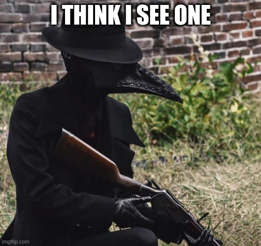 plague doctor with gun | I THINK I SEE ONE | image tagged in plague doctor with gun | made w/ Imgflip meme maker