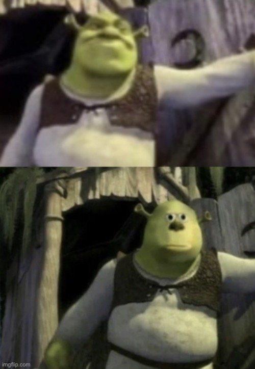 Shocked Shrek Face Swap | image tagged in shocked shrek face swap | made w/ Imgflip meme maker