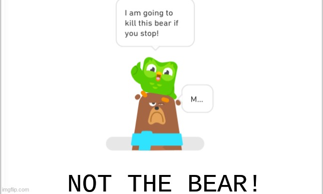 Why the Bear? | NOT THE BEAR! | image tagged in bear,duolingo | made w/ Imgflip meme maker