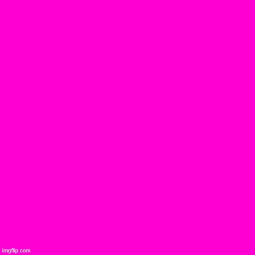 Blank Hot Pink Background | image tagged in blank hot pink background | made w/ Imgflip meme maker