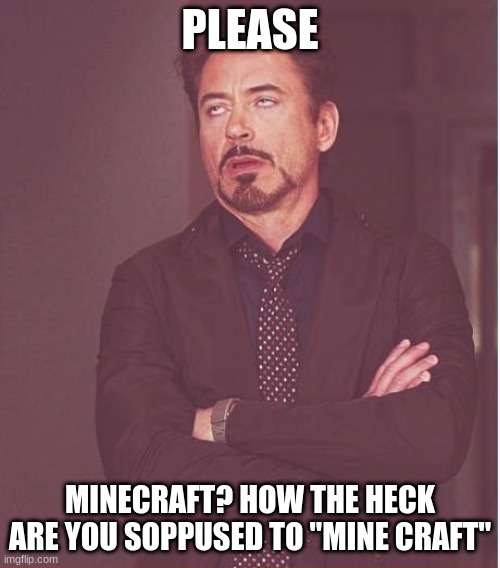 How the heck are you going to "mine craft" | PLEASE; MINECRAFT? HOW THE HECK ARE YOU SOPPUSED TO "MINE CRAFT" | image tagged in memes,face you make robert downey jr | made w/ Imgflip meme maker