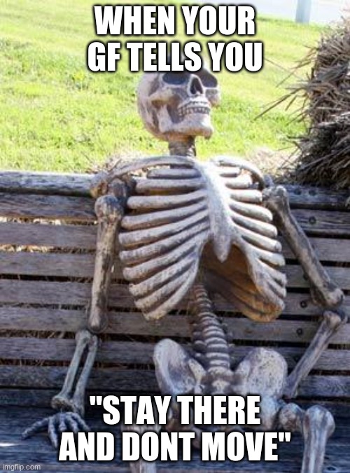 Wait there please | WHEN YOUR GF TELLS YOU; "STAY THERE AND DONT MOVE" | image tagged in memes,waiting skeleton | made w/ Imgflip meme maker