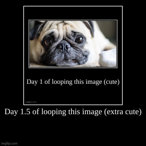 Day 1.5 | image tagged in funny,demotivationals | made w/ Imgflip demotivational maker