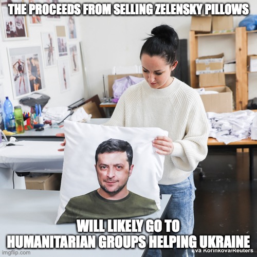 Zelensky Pillows | THE PROCEEDS FROM SELLING ZELENSKY PILLOWS; WILL LIKELY GO TO HUMANITARIAN GROUPS HELPING UKRAINE | image tagged in memes,ukraine | made w/ Imgflip meme maker
