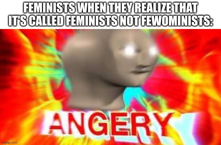 Stonks Man Angery | FEMINISTS WHEN THEY REALIZE THAT IT'S CALLED FEMINISTS NOT FEWOMINISTS: | image tagged in stonks man angery | made w/ Imgflip meme maker