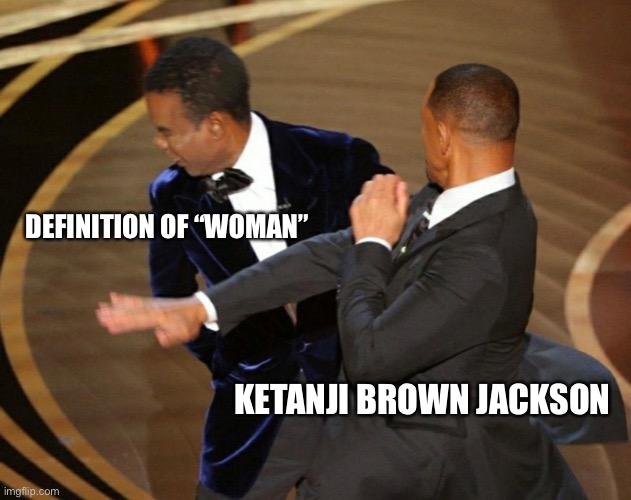 Dope slap | DEFINITION OF “WOMAN”; KETANJI BROWN JACKSON | image tagged in will smith slapping chris rock | made w/ Imgflip meme maker