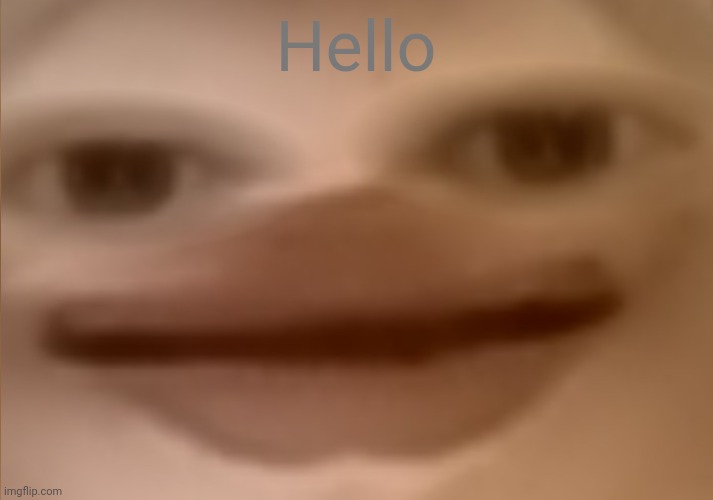 Frog | Hello | image tagged in i currently have 19 people in my basement | made w/ Imgflip meme maker