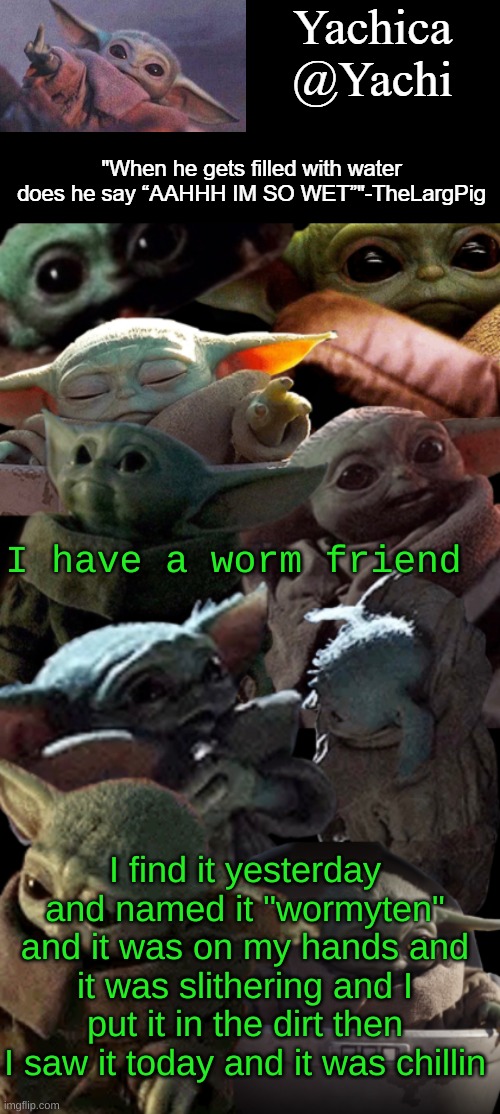 Yachi's baby Yoda temp | I have a worm friend; I find it yesterday and named it "wormyten" and it was on my hands and it was slithering and I put it in the dirt then I saw it today and it was chillin | image tagged in yachi's baby yoda temp | made w/ Imgflip meme maker
