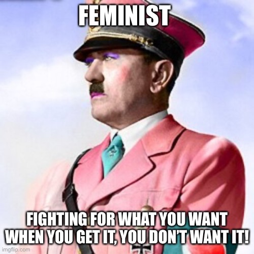 Feminist | FEMINIST; FIGHTING FOR WHAT YOU WANT
WHEN YOU GET IT, YOU DON’T WANT IT! | image tagged in feminist hitler,happy,fun,meme,fry,yoda | made w/ Imgflip meme maker