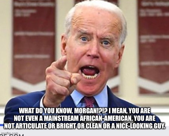 Joe Biden no malarkey | WHAT DO YOU KNOW, MORGAN!?!? I MEAN, YOU ARE NOT EVEN A MAINSTREAM AFRICAN-AMERICAN. YOU ARE NOT ARTICULATE OR BRIGHT OR CLEAN OR A NICE-LOO | image tagged in joe biden no malarkey | made w/ Imgflip meme maker