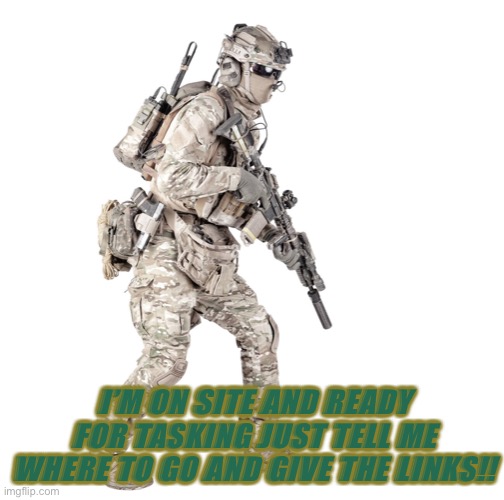 Airsoft solider | I’M ON SITE AND READY FOR TASKING JUST TELL ME WHERE TO GO AND GIVE THE LINKS!! | image tagged in airsoft solider | made w/ Imgflip meme maker