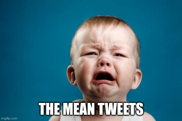 BABY CRYING | THE MEAN TWEETS | image tagged in baby crying | made w/ Imgflip meme maker