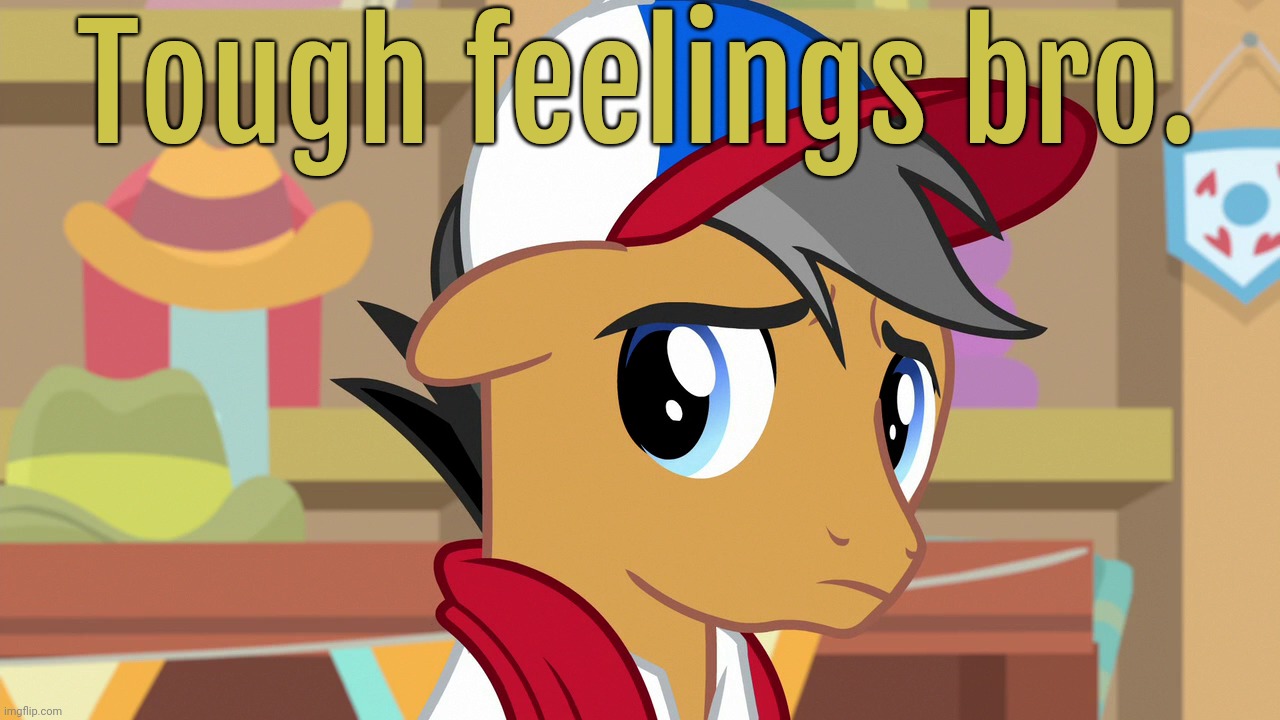 Pouty Pants (MLP) | Tough feelings bro. | image tagged in pouty pants mlp | made w/ Imgflip meme maker